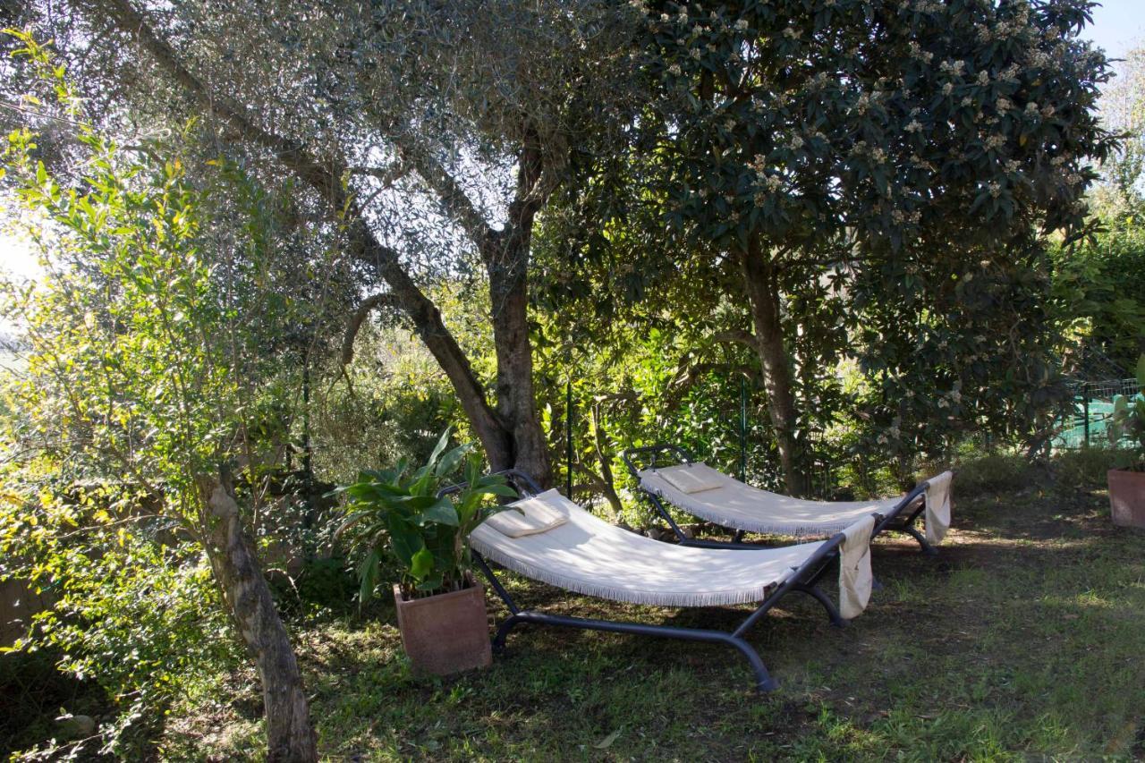 Bed and Breakfast Casale San Pietro Otricoli Exterior foto