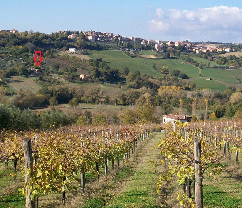 Bed and Breakfast Casale San Pietro Otricoli Exterior foto